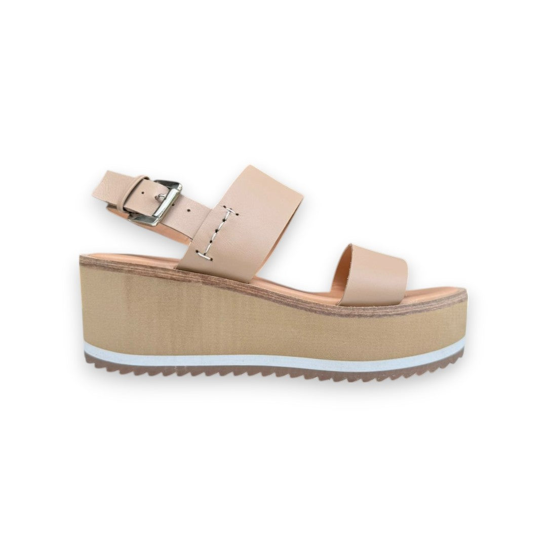 CIELO 2269 TERNERO CAMEL