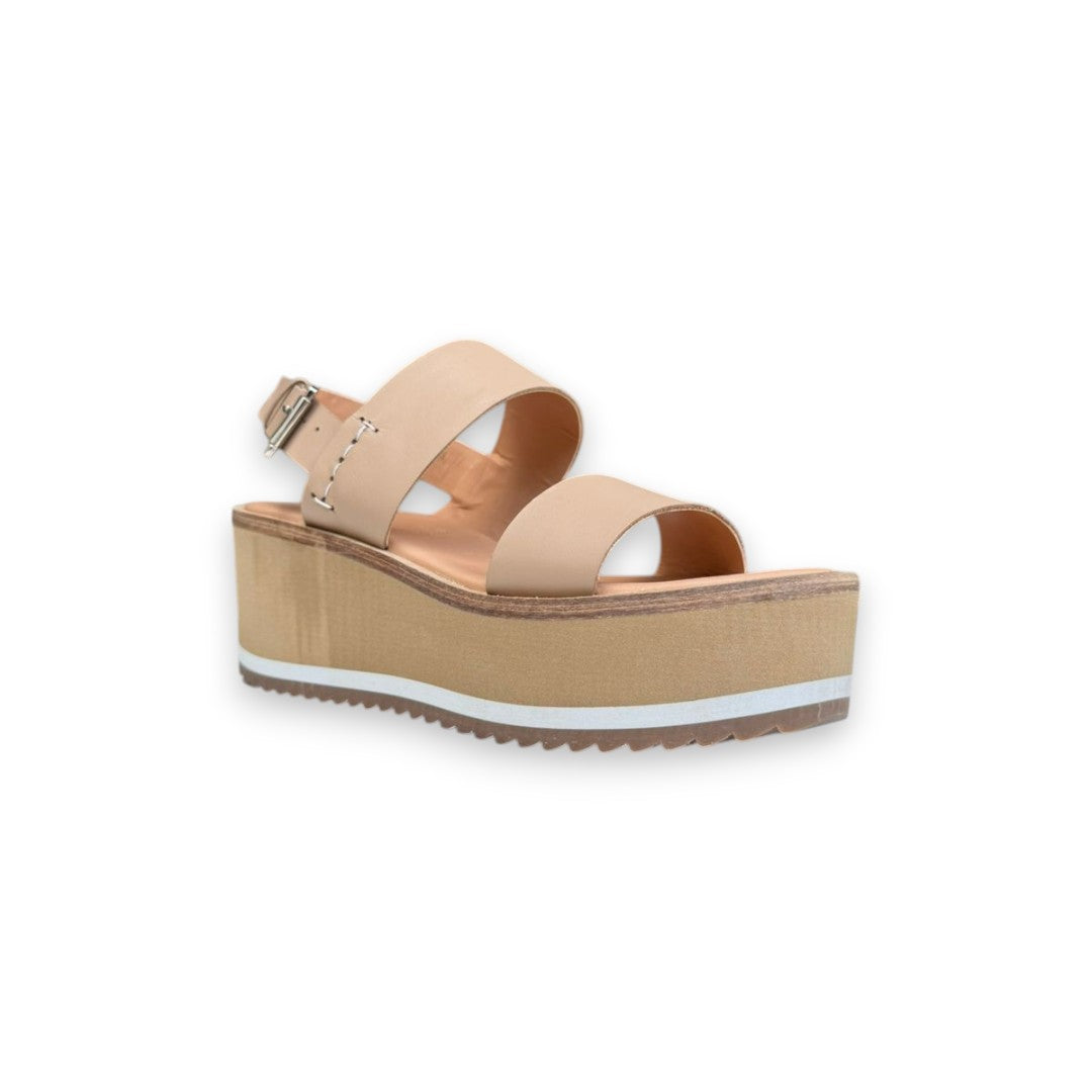 CIELO 2269 TERNERO CAMEL