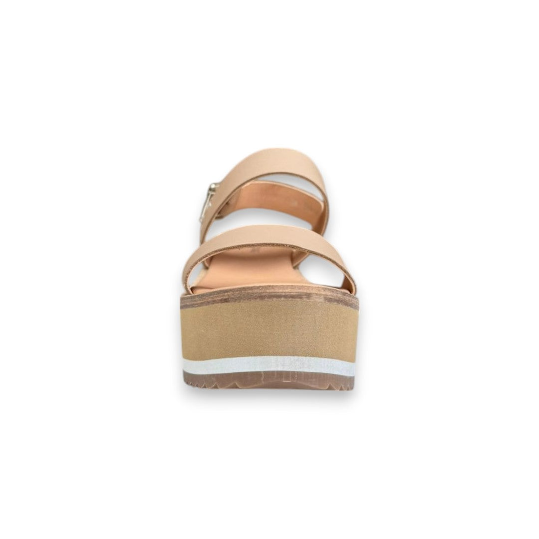 CIELO 2269 TERNERO CAMEL
