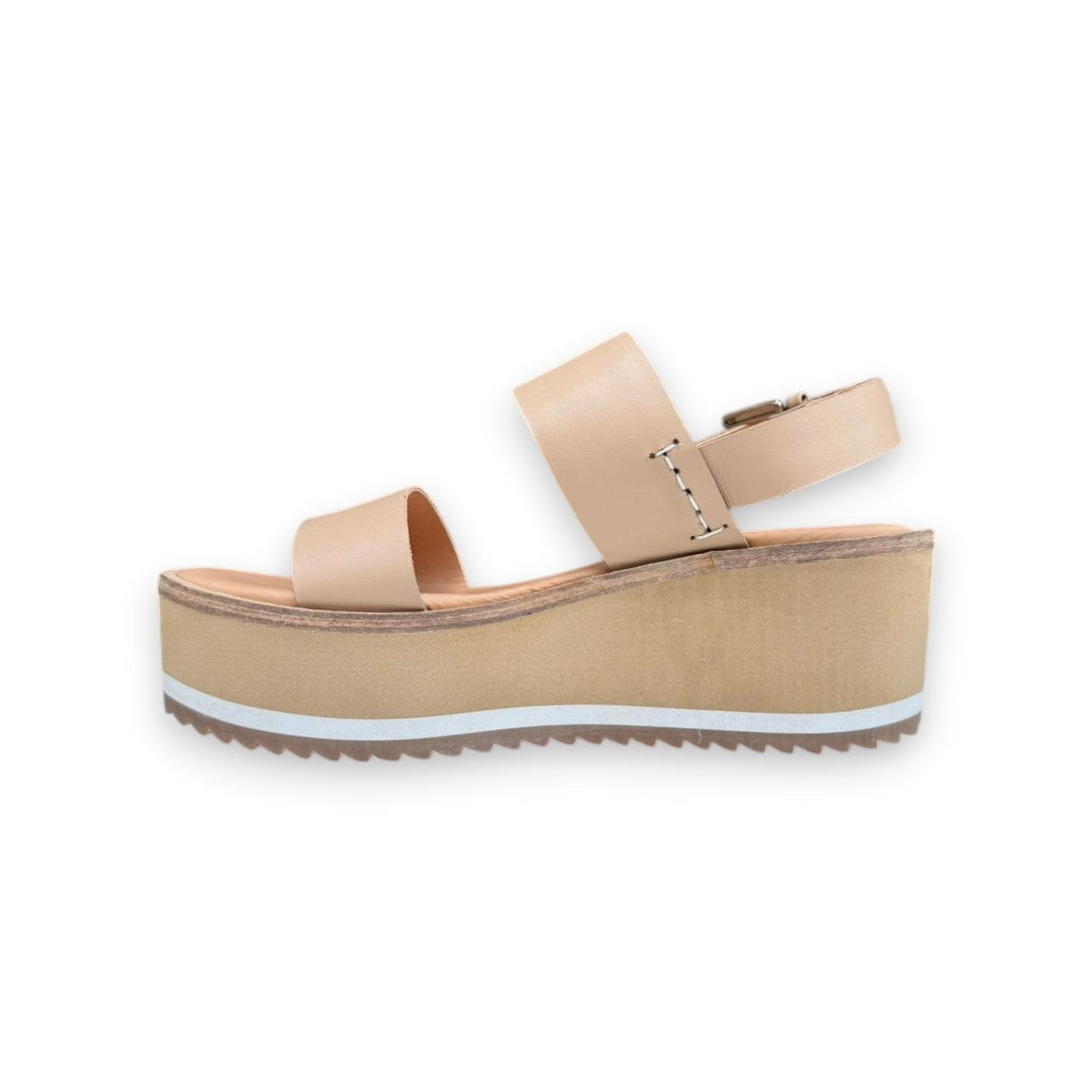 CIELO 2269 TERNERO CAMEL