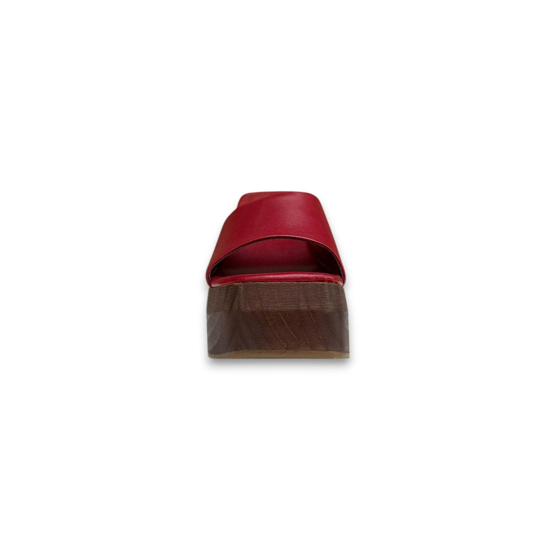 LIDIA 1032 TERNERO ROJO SANGRE