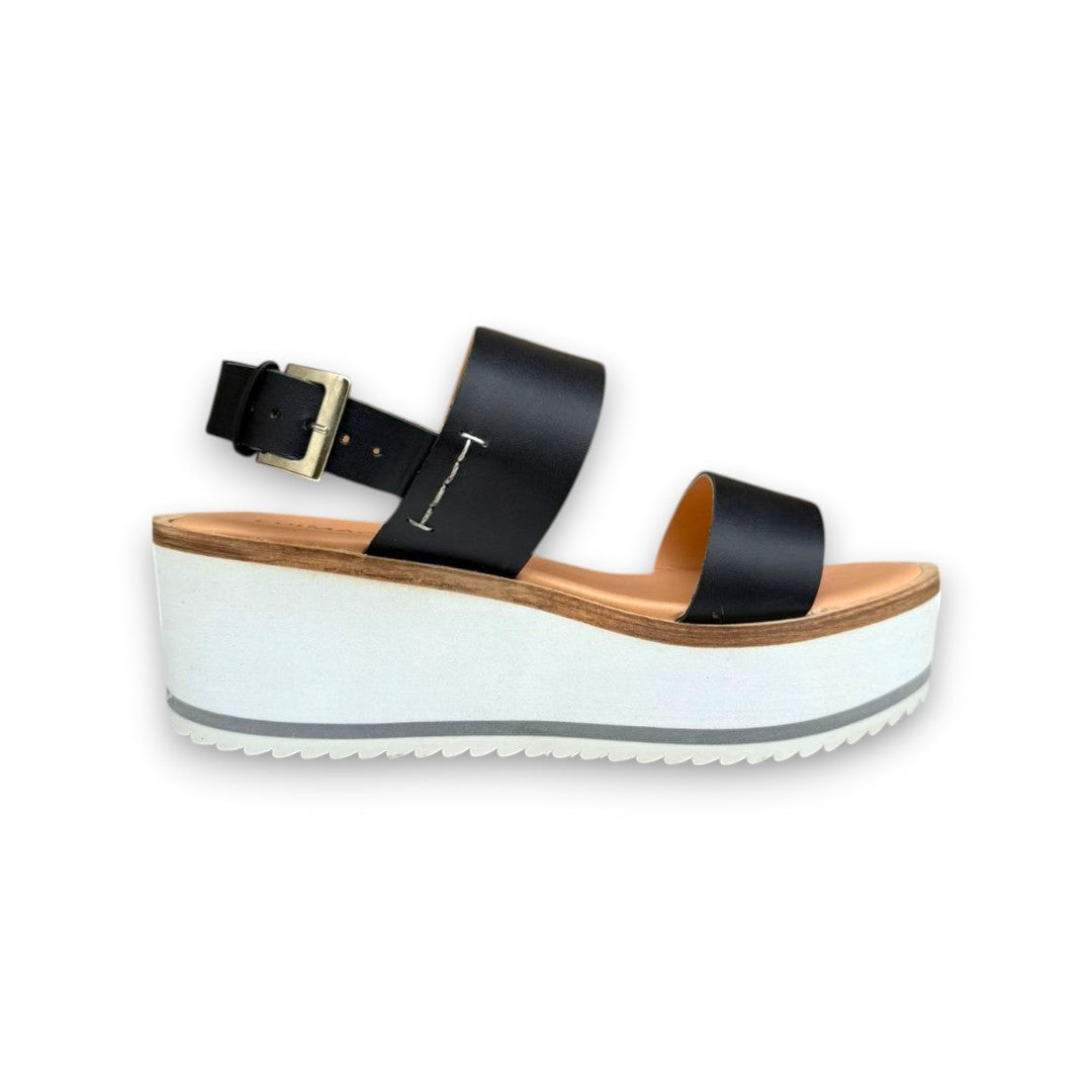 CIELO 2269 TERNERO NEGRO