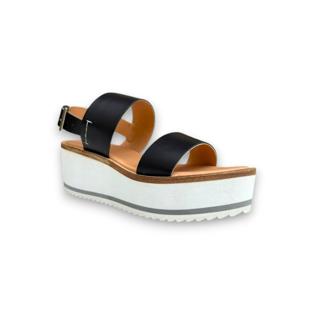 CIELO 2269 TERNERO NEGRO