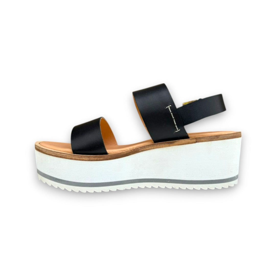 CIELO 2269 TERNERO NEGRO
