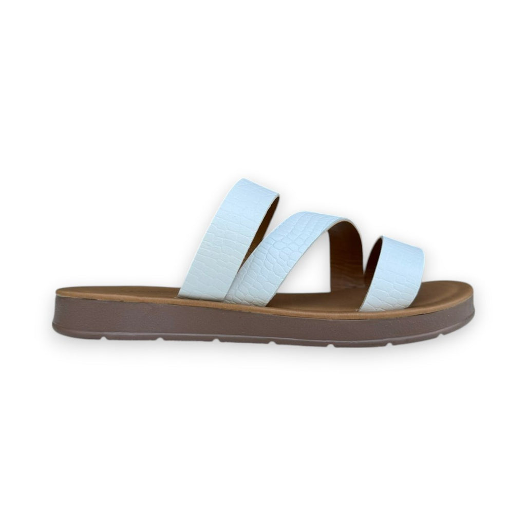 DALIA 3021 C. BLANCO