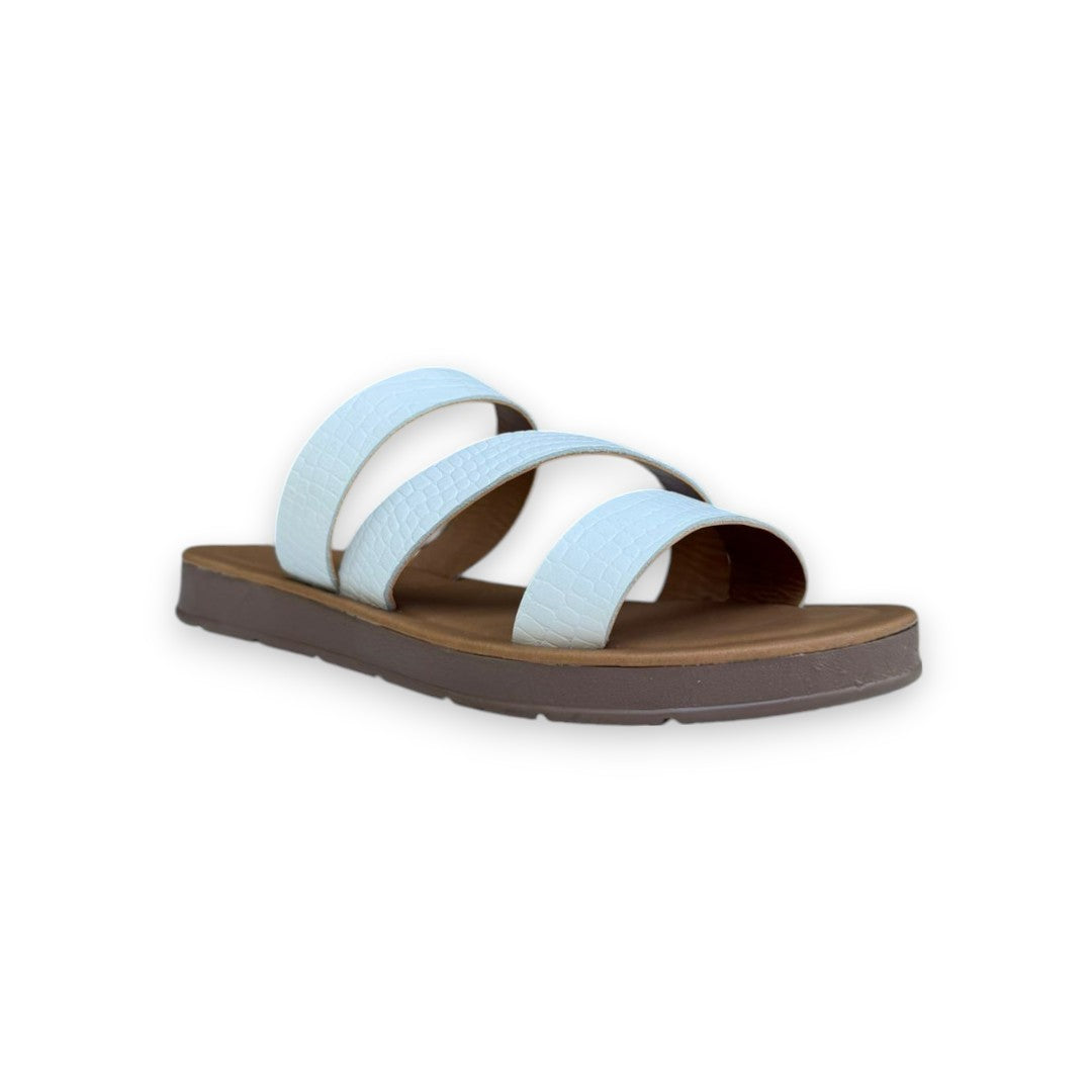 DALIA 3021 C. BLANCO