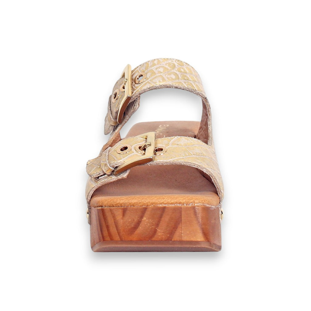 VICTORIA 7019 CAIMAN ORO MARFIL