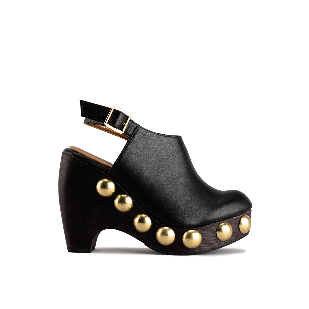 2223 - TERNERO NEGRO