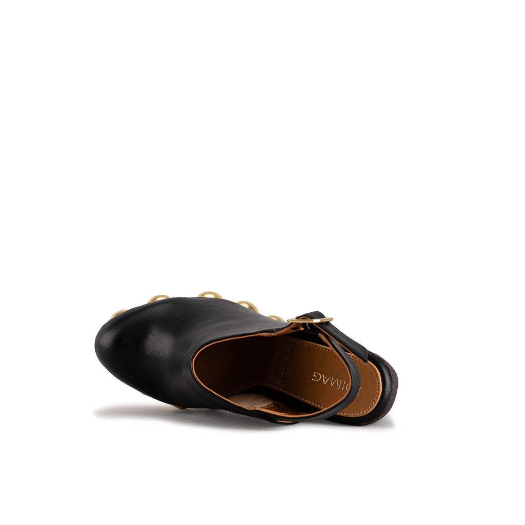 2223 - TERNERO NEGRO