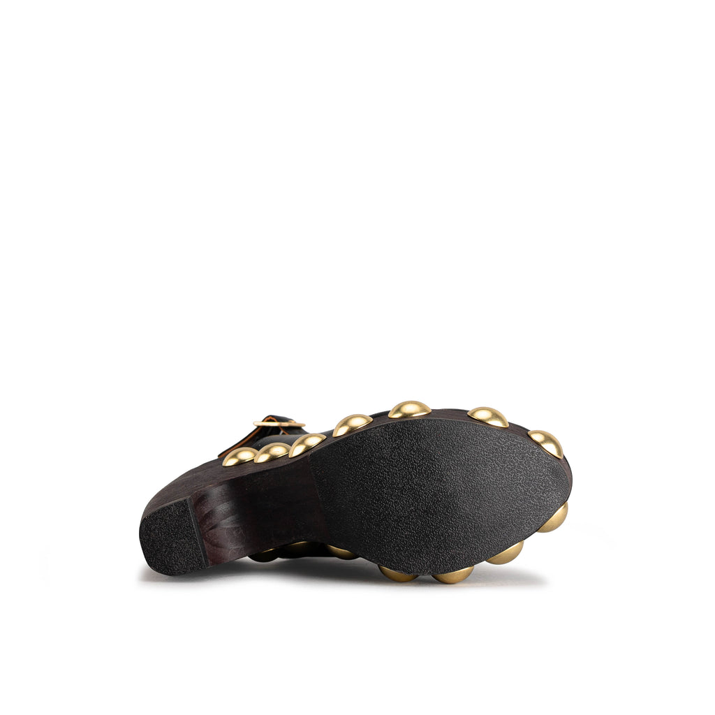 2223 - TERNERO NEGRO