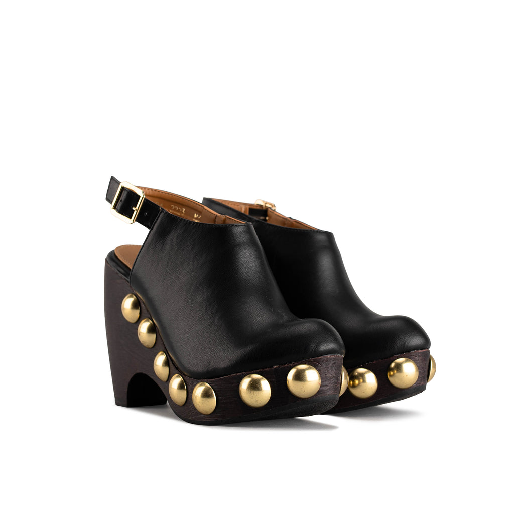 2223 - TERNERO NEGRO