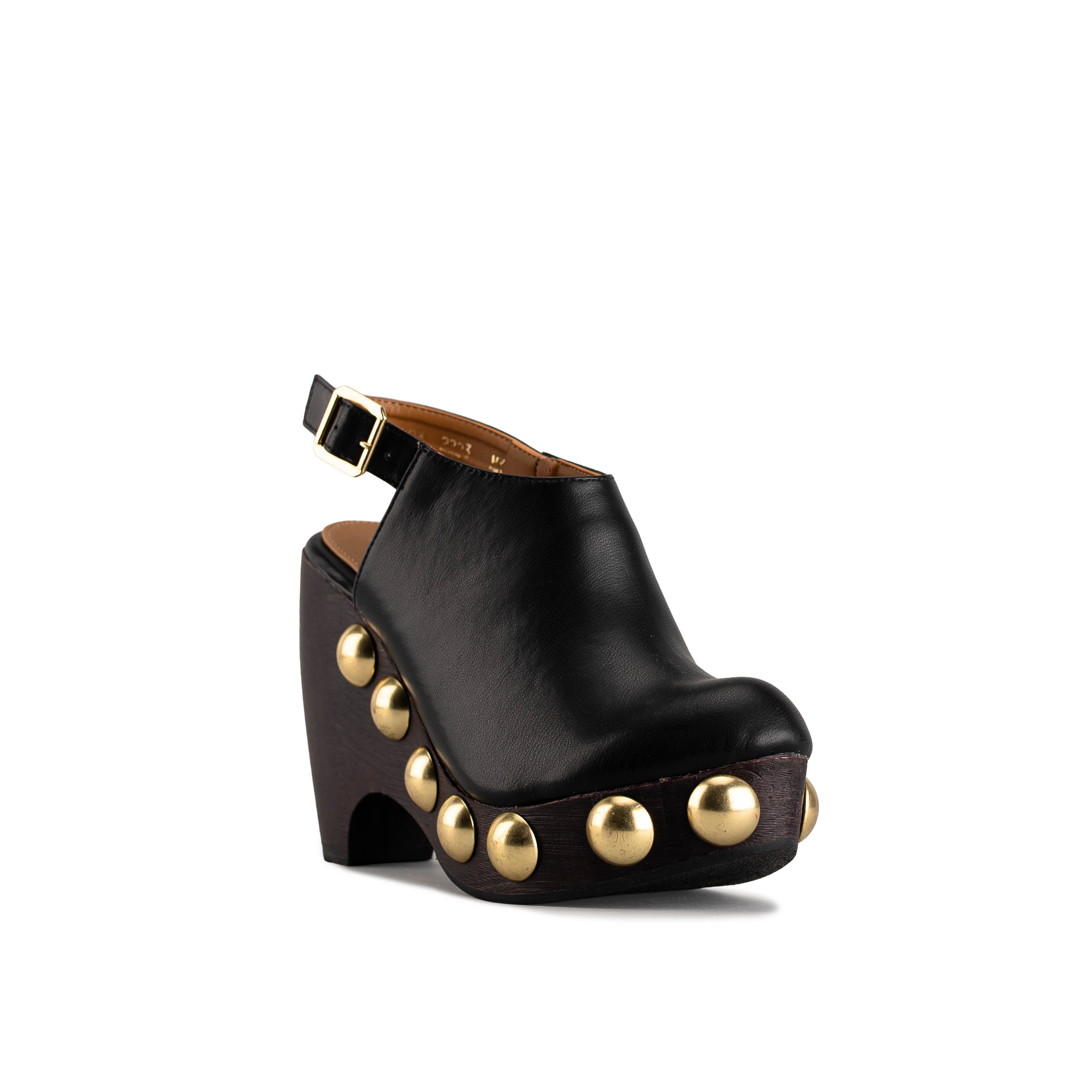 2223 - TERNERO NEGRO