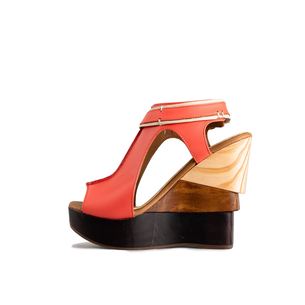 2257 - TERNERO CORAL