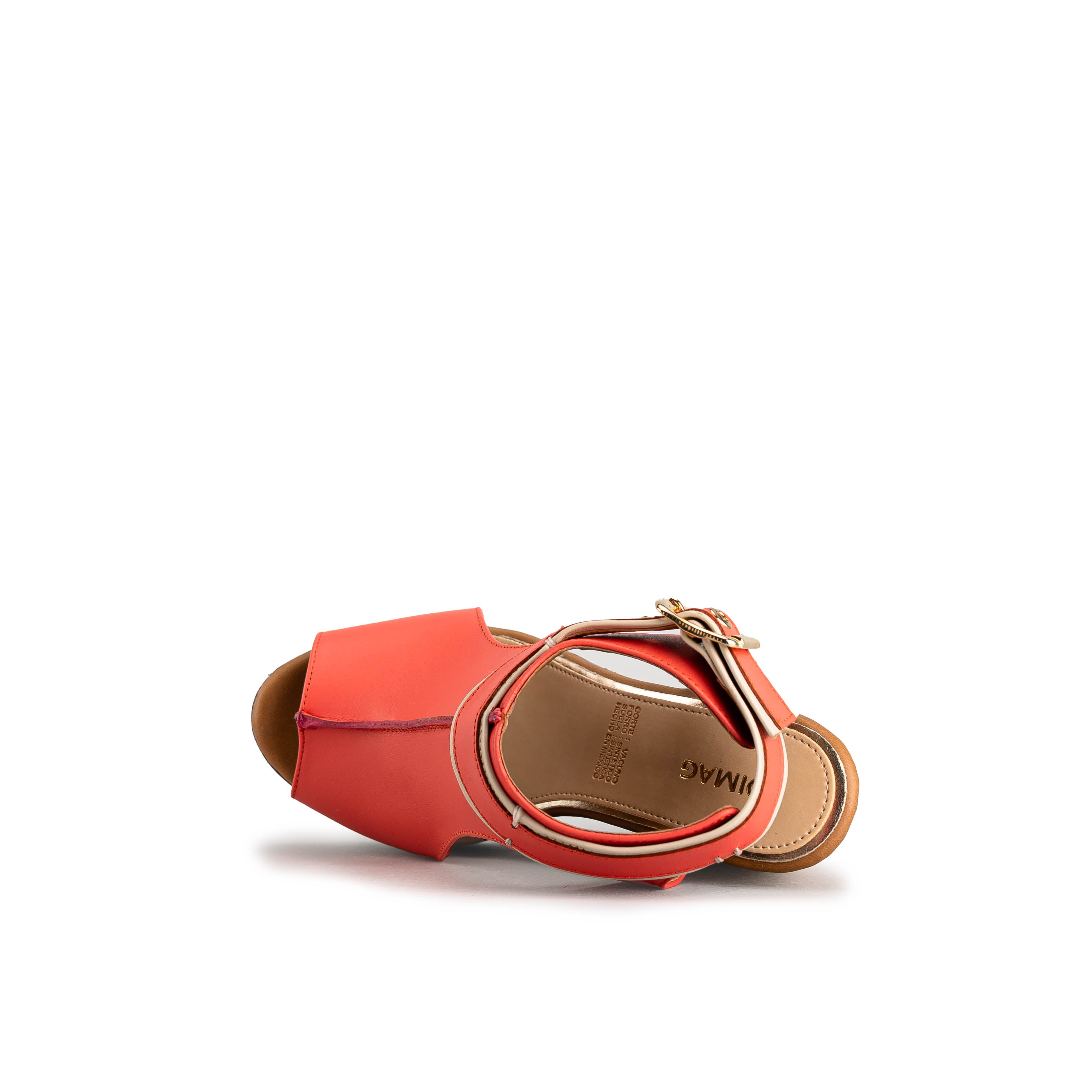 2257 - TERNERO CORAL