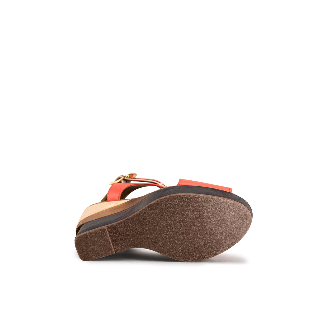 2257 - TERNERO CORAL