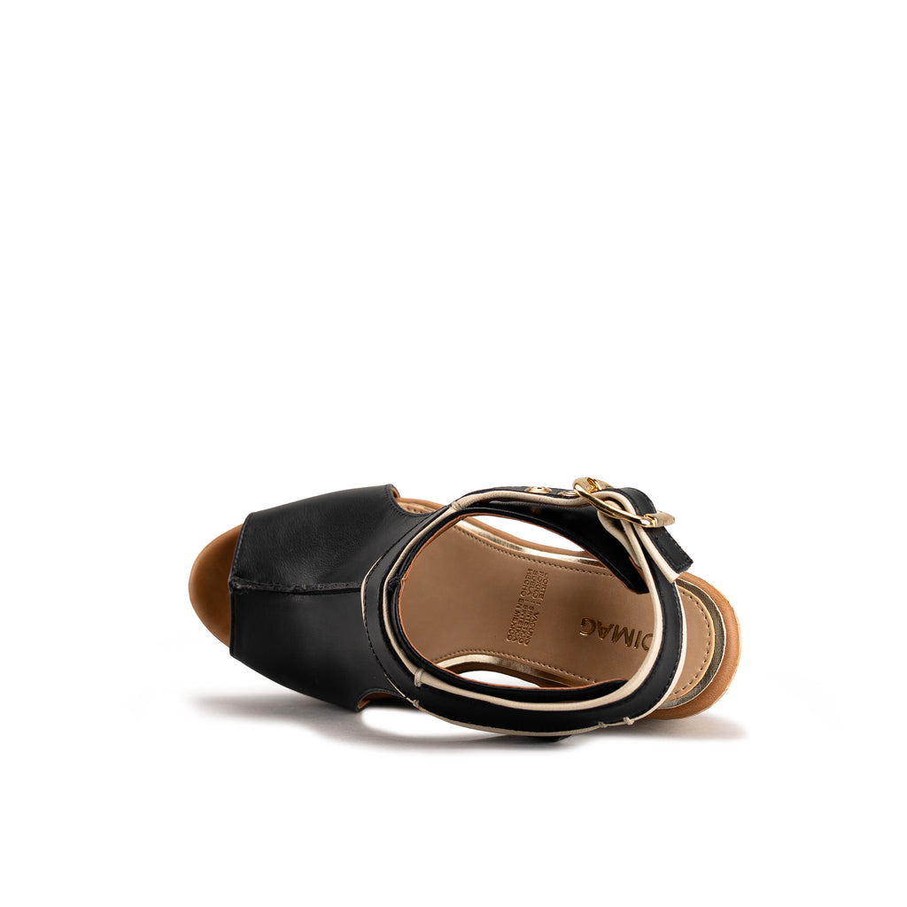 2257 - TERNERO NEGRO