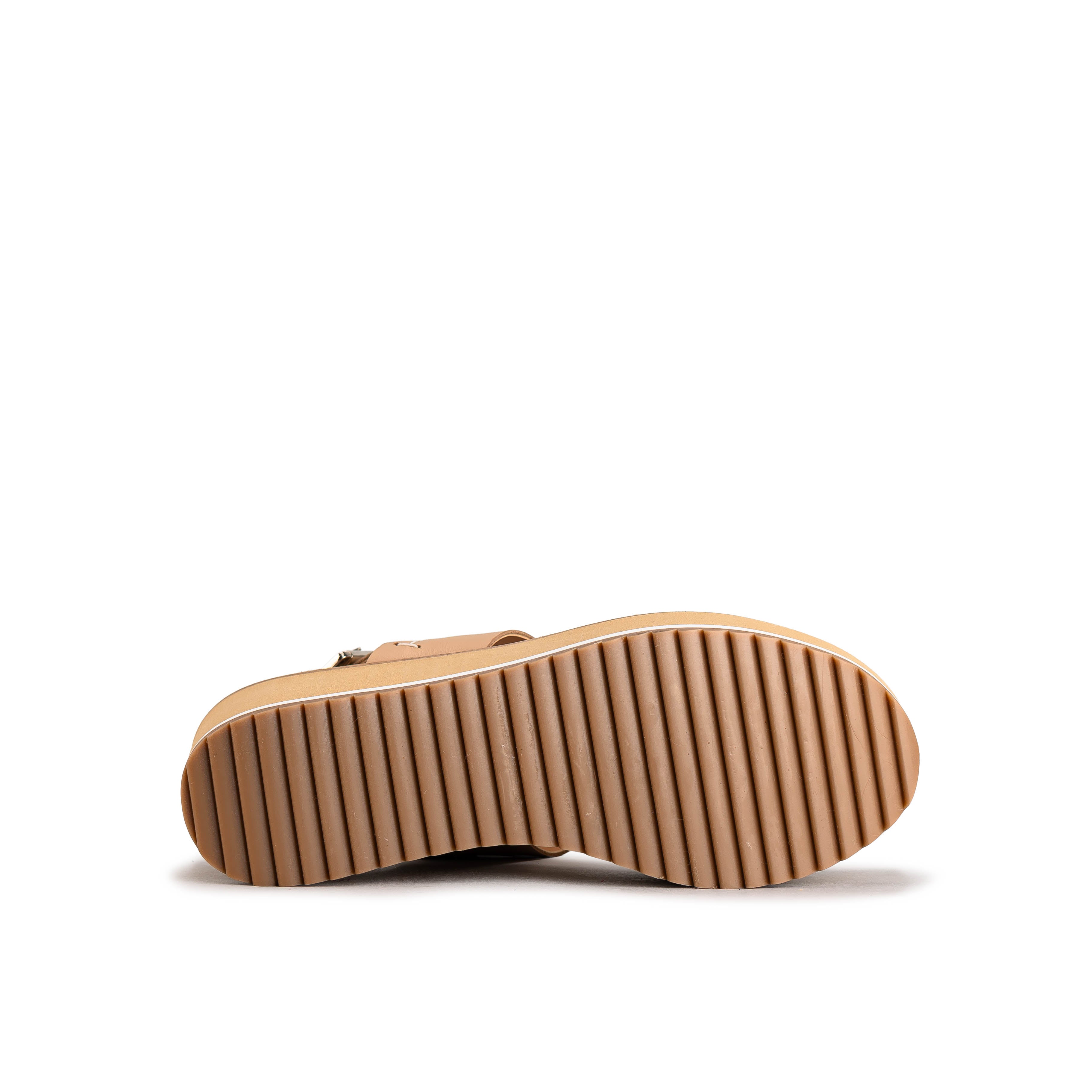 2269 - TERNERO SAND