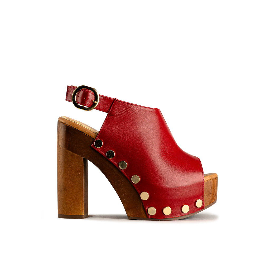 2406 - TERNERO ROJO SANGRE