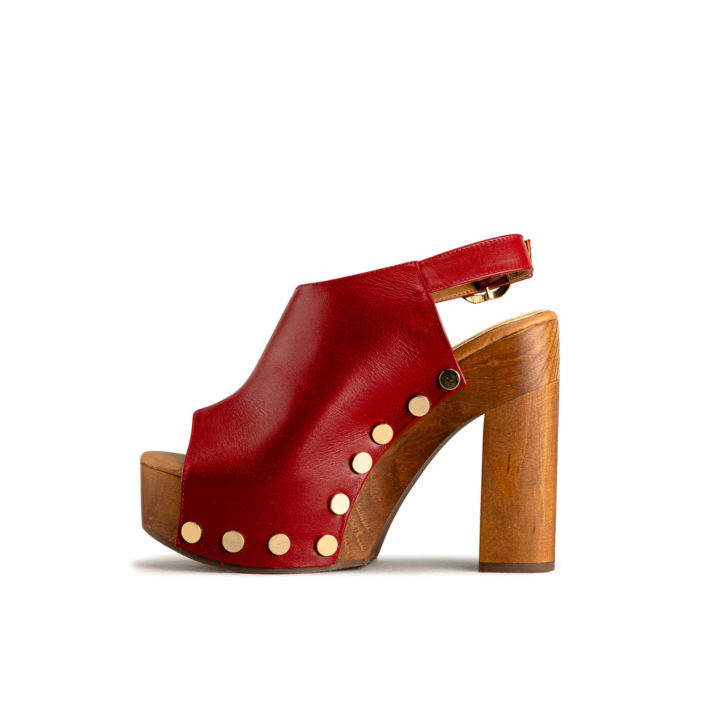 2406 - TERNERO ROJO SANGRE