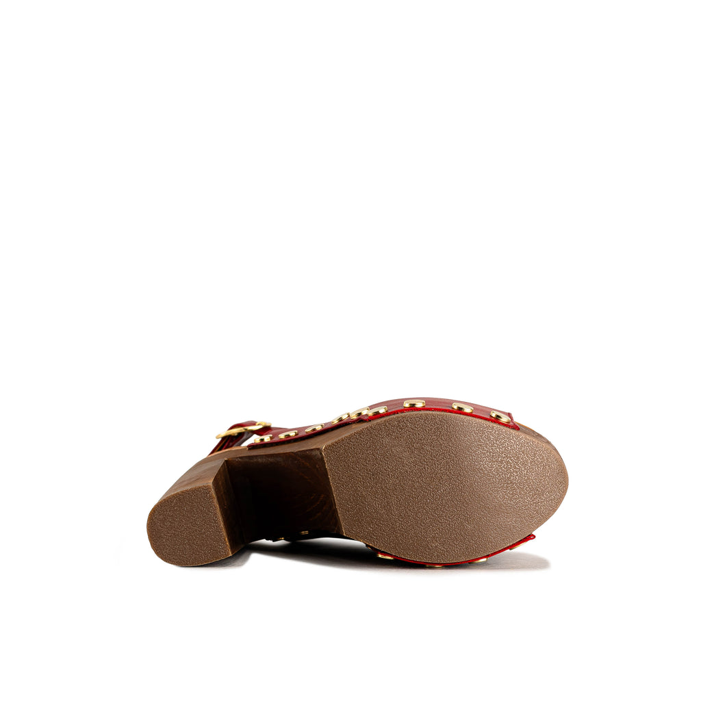 2406 - TERNERO ROJO SANGRE