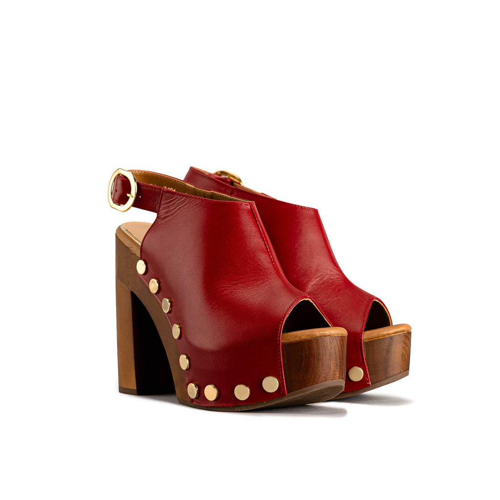 2406 - TERNERO ROJO SANGRE