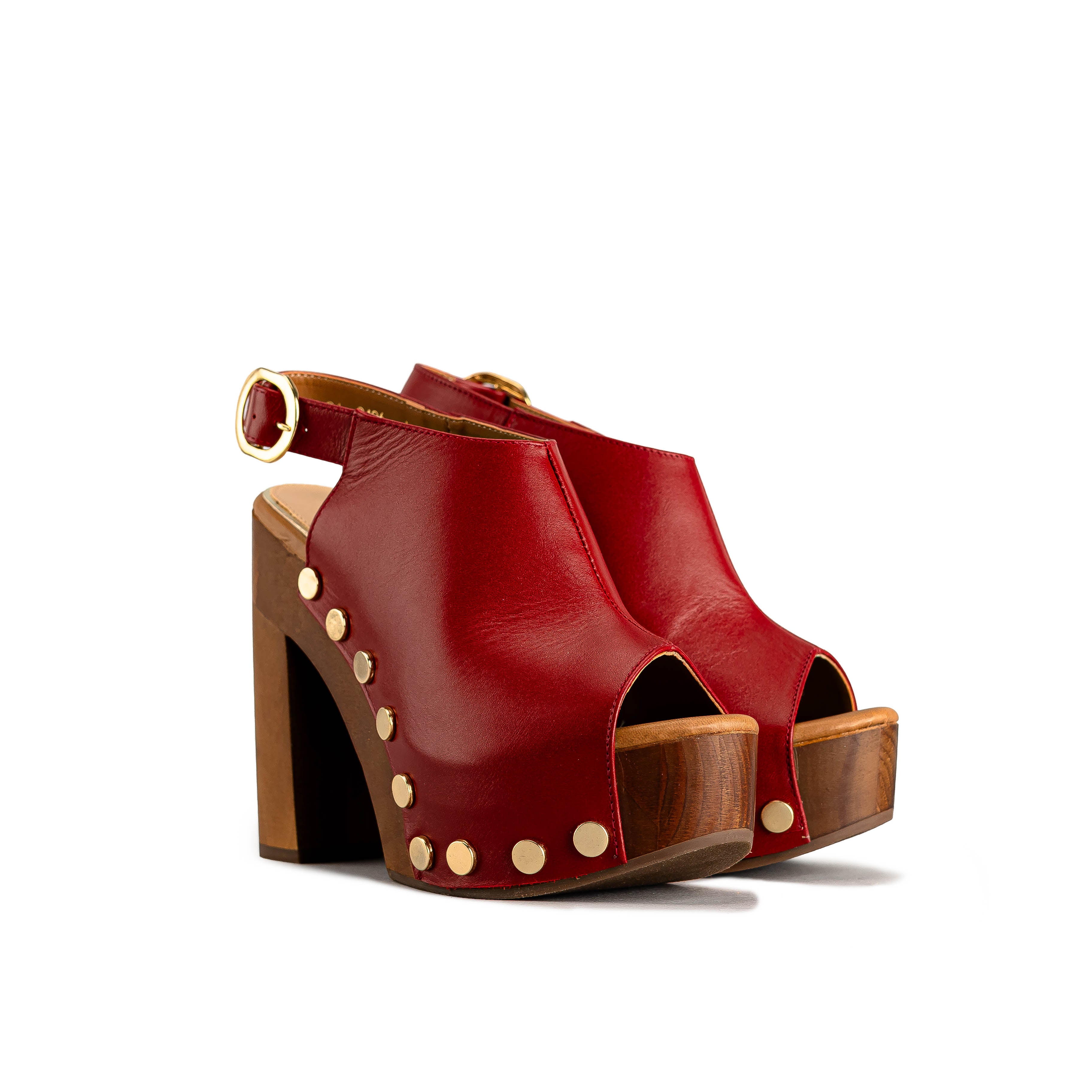 2406 - TERNERO ROJO SANGRE