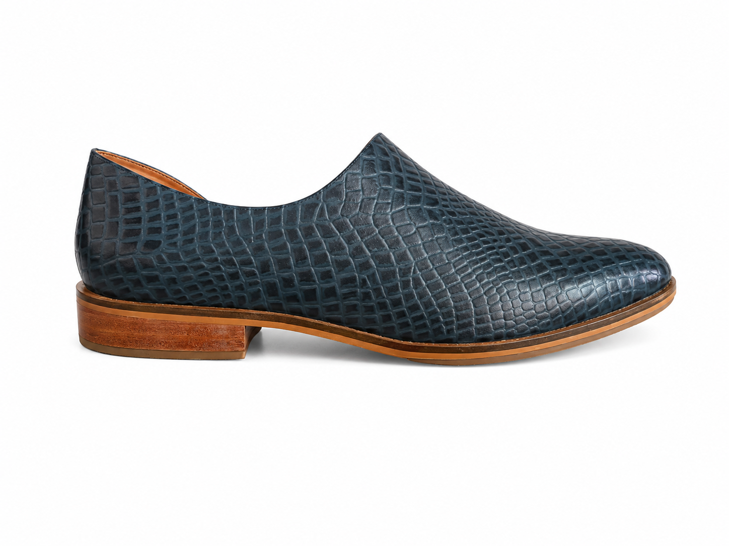 2418 CAIMAN MARINO