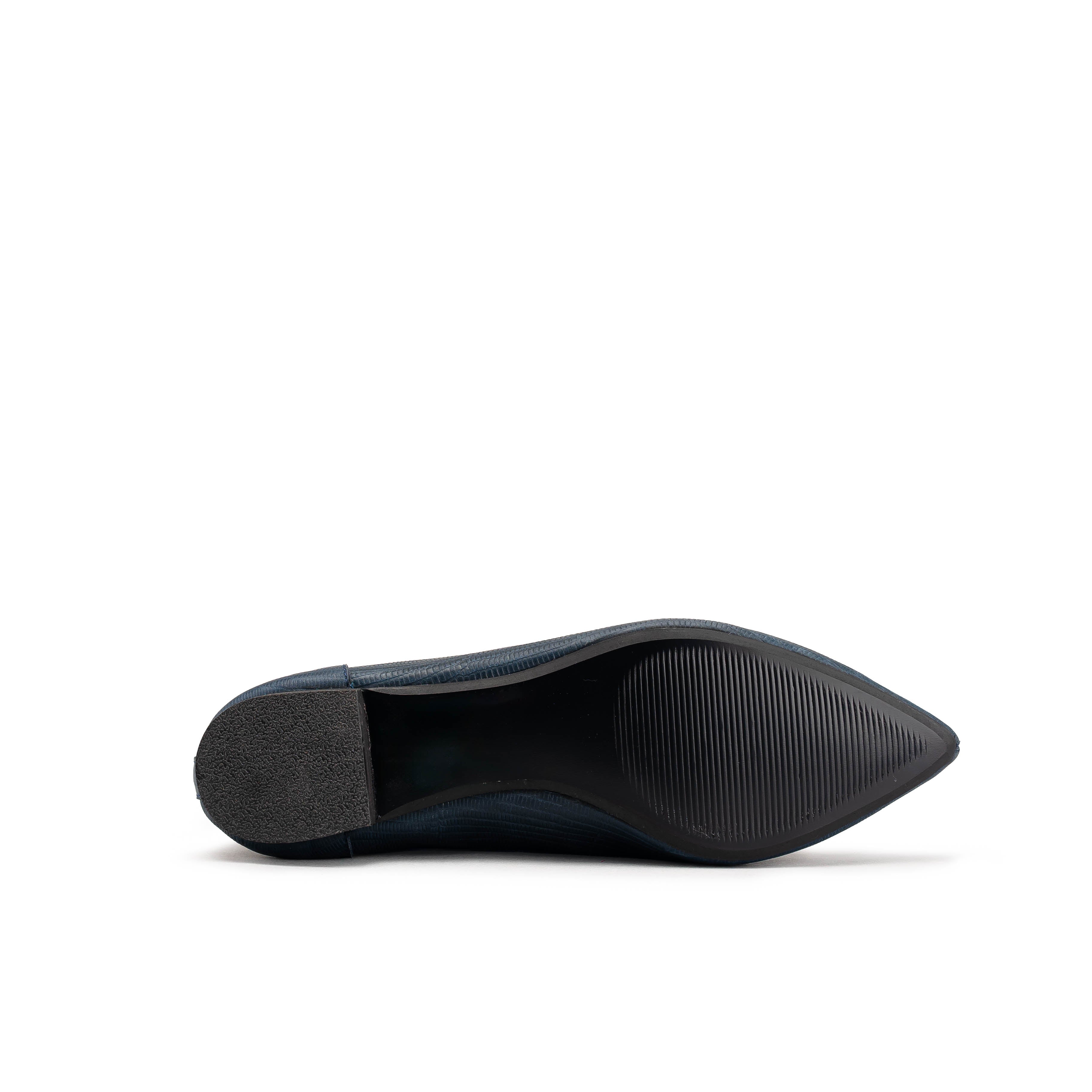 2289 - LIZARDI MARINO