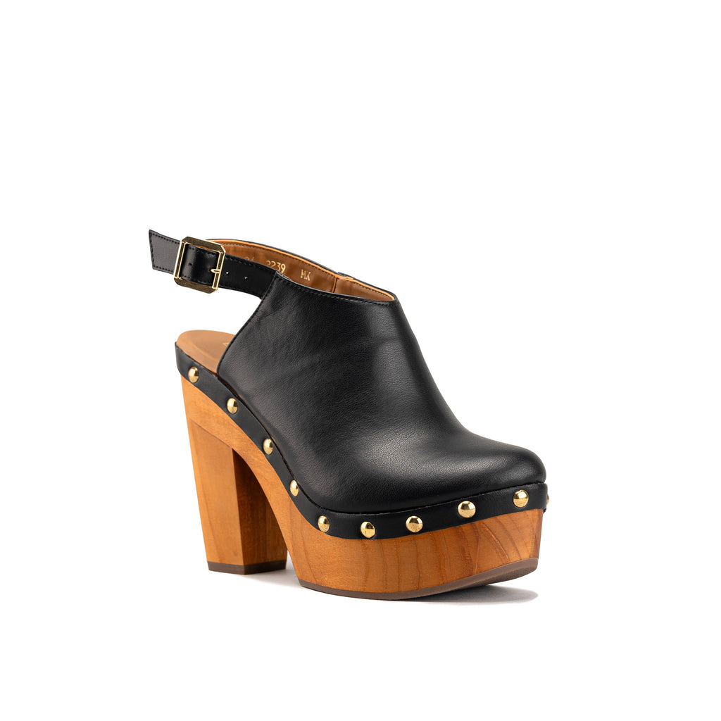 2239 - TERNERO NEGRO