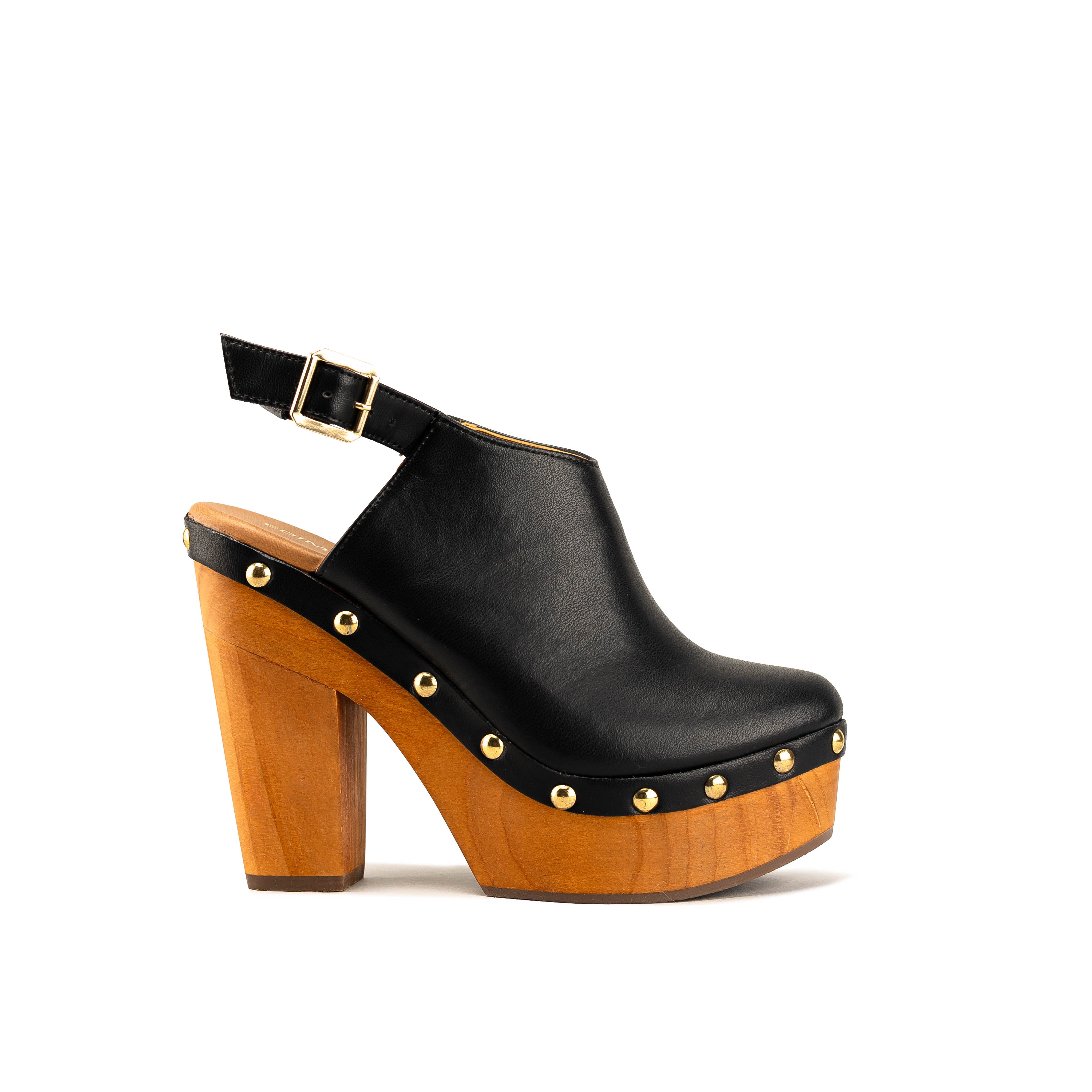 2239 - TERNERO NEGRO