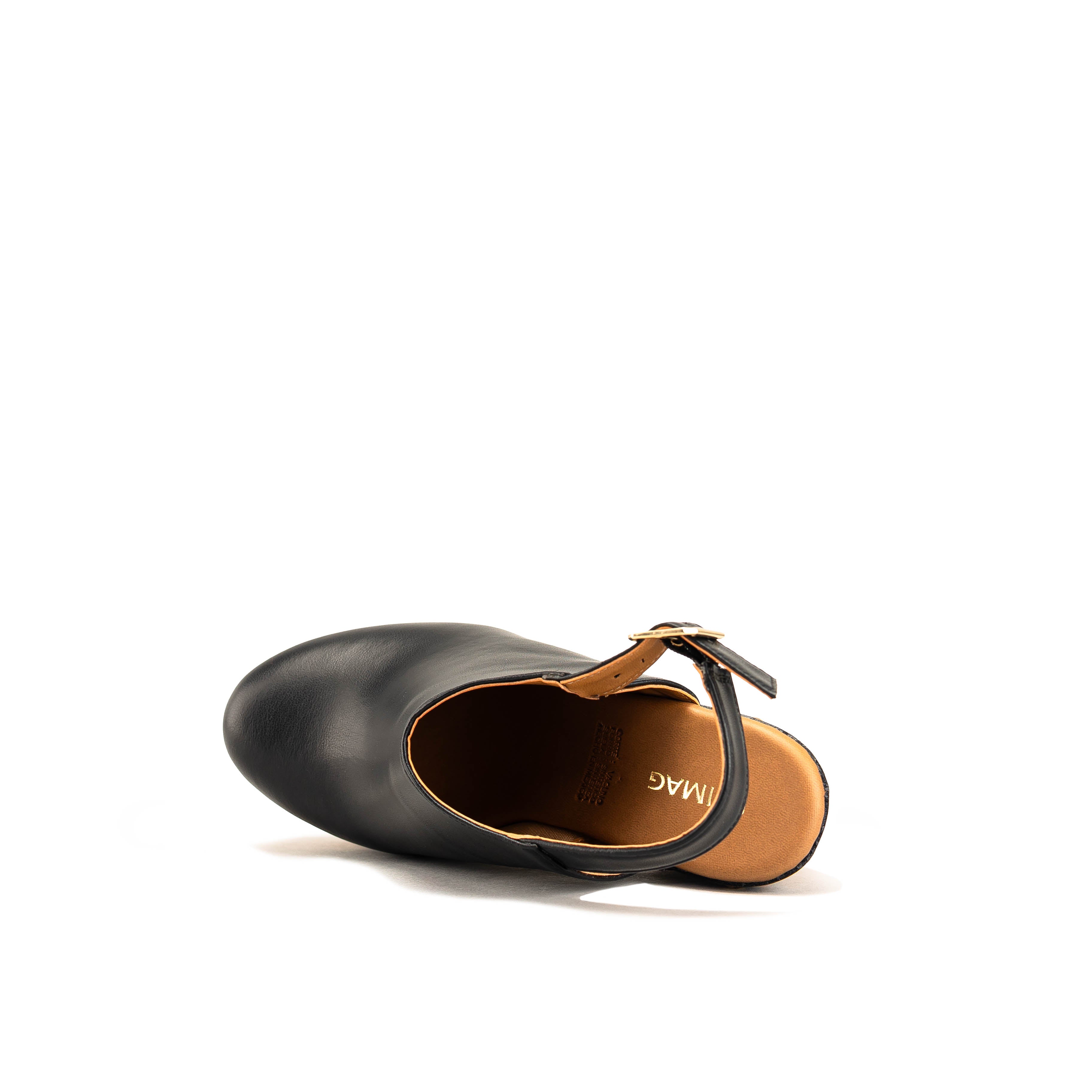 2239 - TERNERO NEGRO