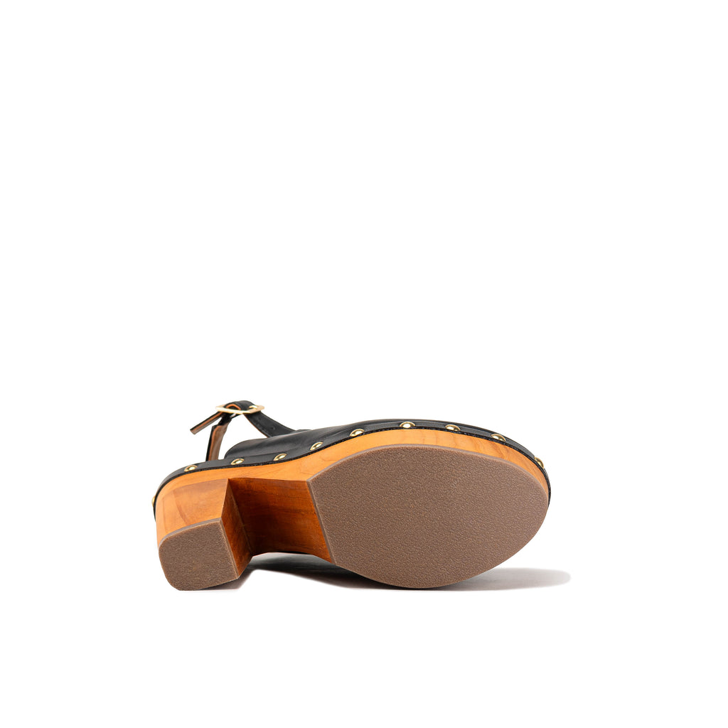 2239 - TERNERO NEGRO